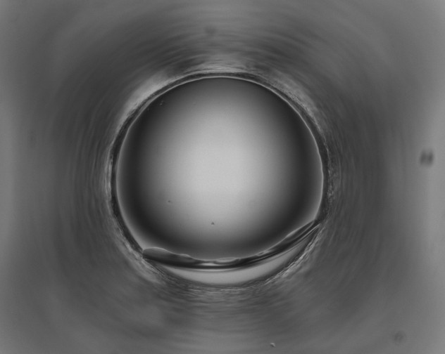 X0000096151179200801181155