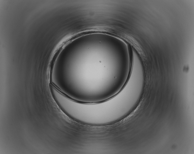 X0000096151180200801181155