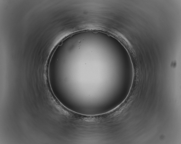 X0000096151182200801181155