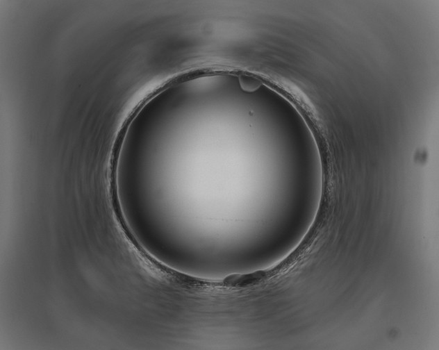 X0000096151183200801181155