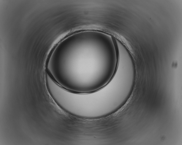 X0000096151184200801181155