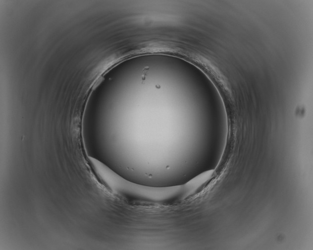 X0000096151185200801181155