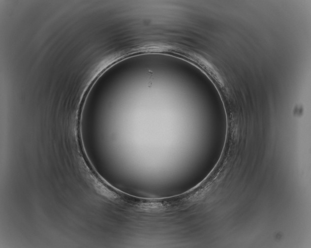 X0000096151186200801181155