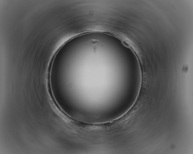X0000096151187200801181155