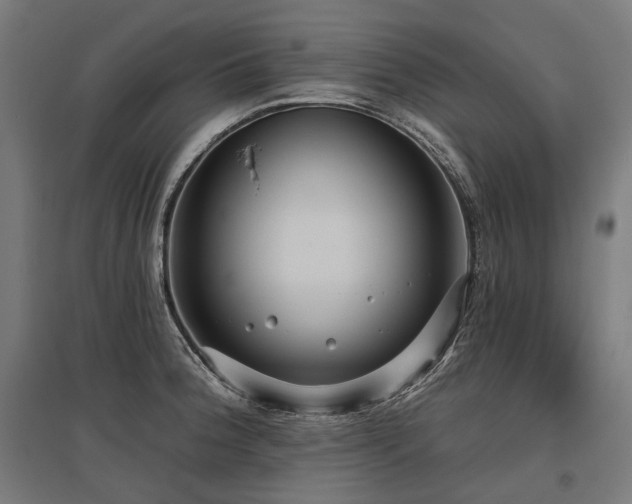 X0000096151188200801181155