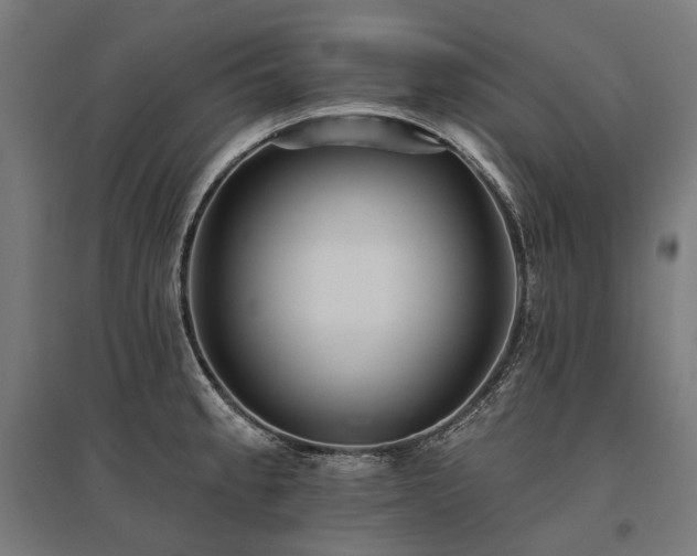 X0000096151189200801181155