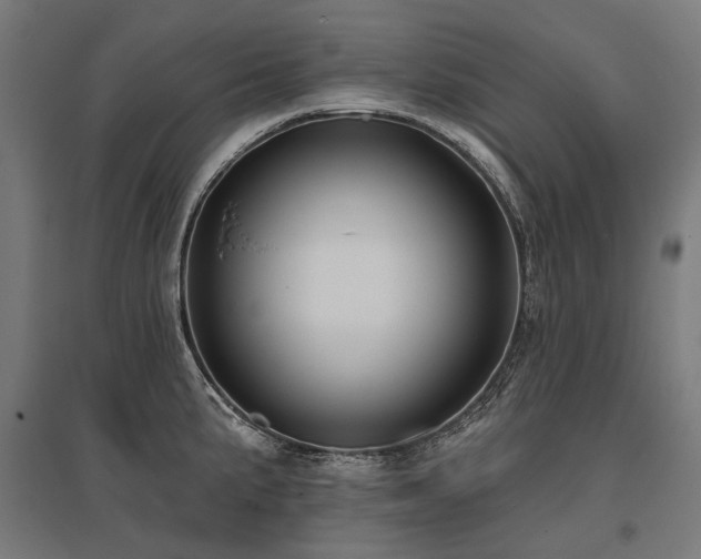 X0000096151191200801181155
