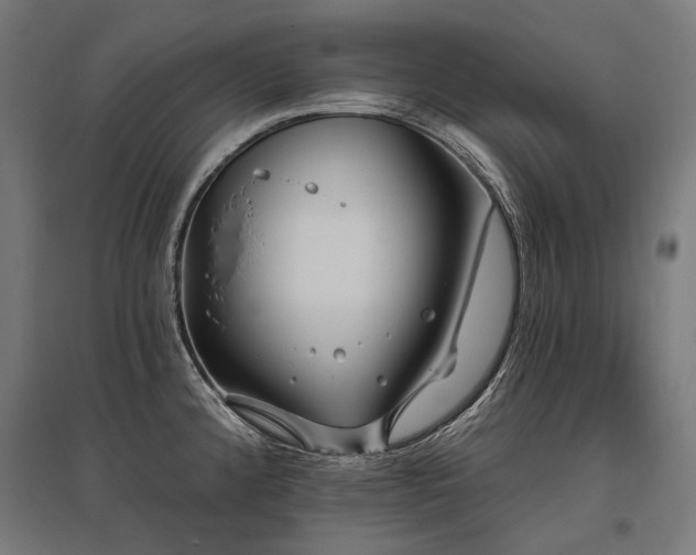 X0000096151192200801181155