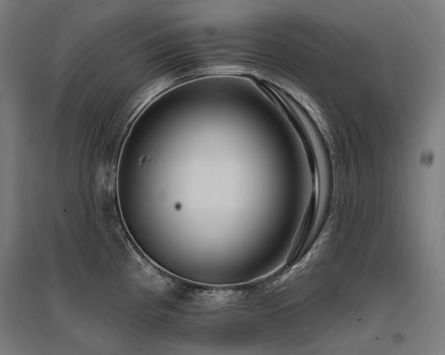 X0000096151193200801181155