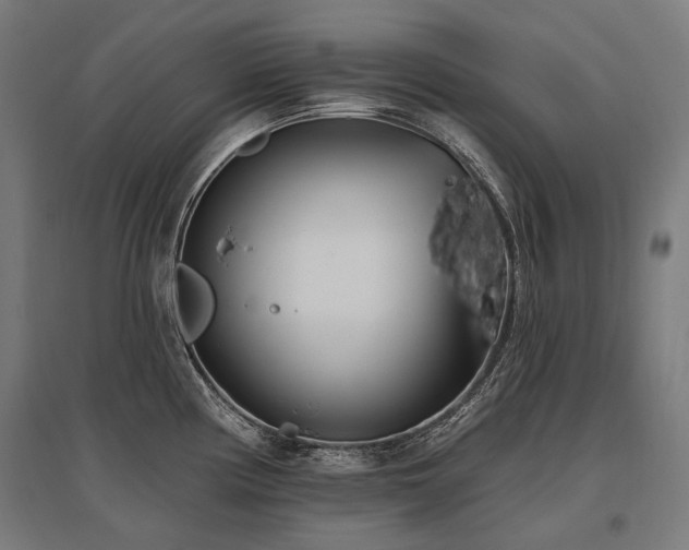 X0000096151194200801181155