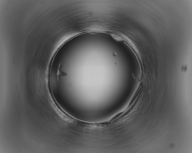 X0000096151195200801181155