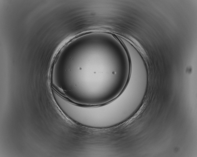 X0000096151196200801181155