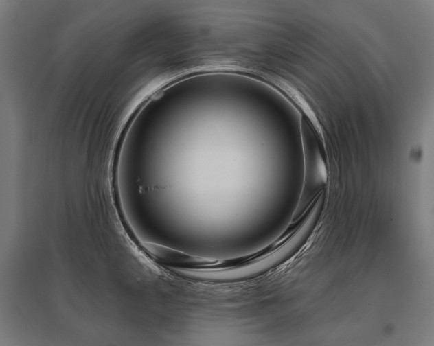 X0000096151197200801181155