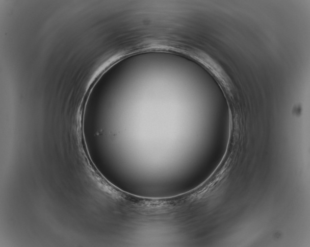 X0000096151198200801181155