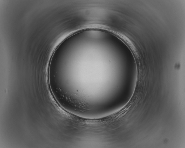 X0000096151199200801181155
