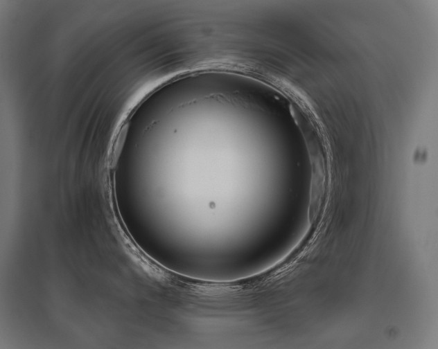 X0000096151200200801181155