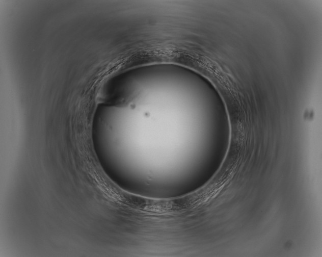 X0000096151201200801181154