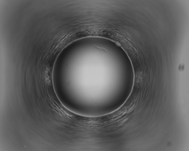 X0000096151202200801181154