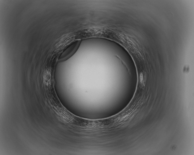 X0000096151203200801181154