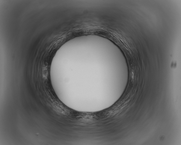 X0000096151204200801181154