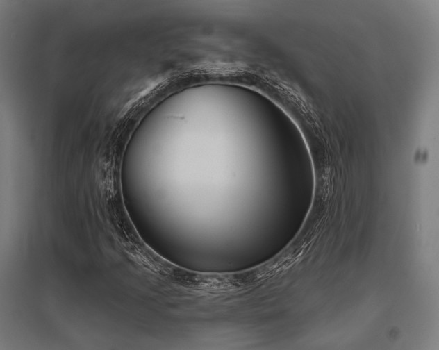 X0000096151205200801181154