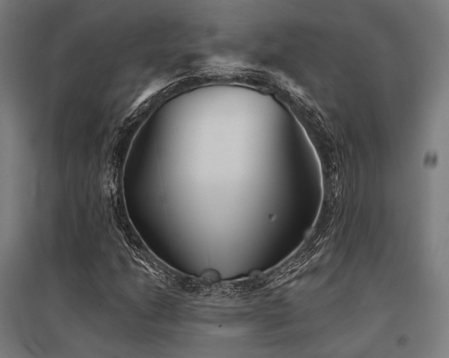 X0000096151206200801181154