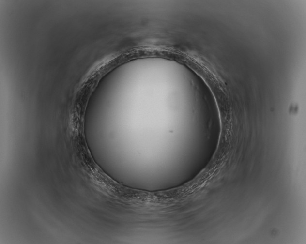 X0000096151207200801181154