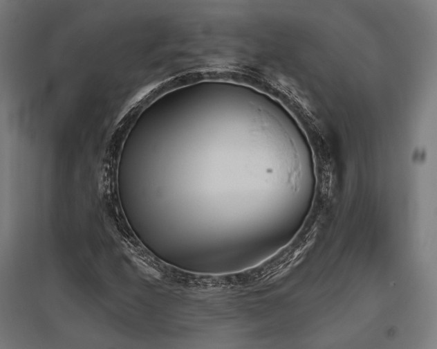 X0000096151208200801181154