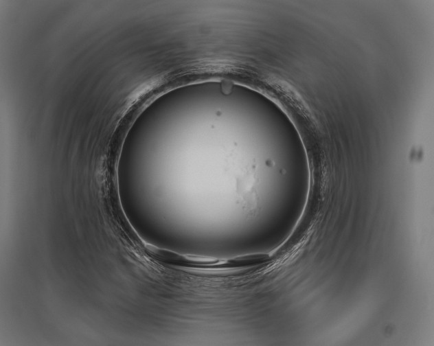 X0000096151210200801181154