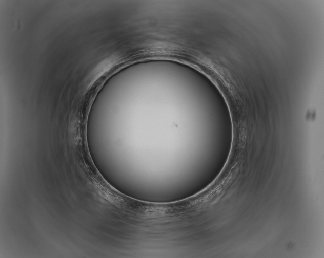 X0000096151211200801181154