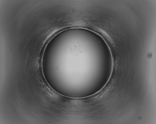 X0000096151212200801181154