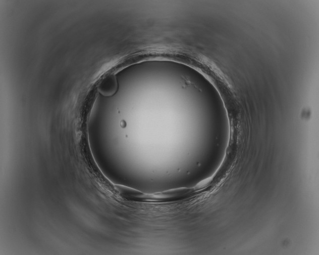 X0000096151213200801181154