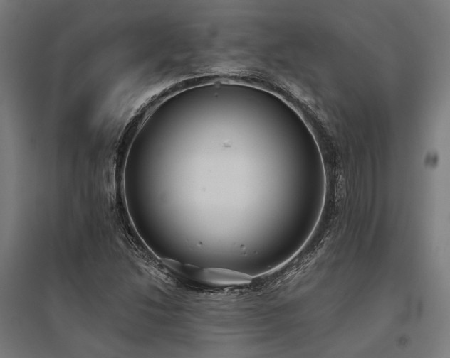 X0000096151214200801181154