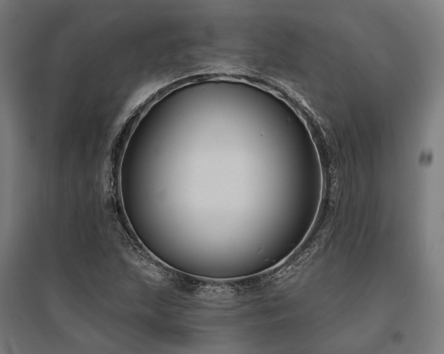 X0000096151215200801181155