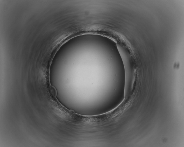 X0000096151217200801181155