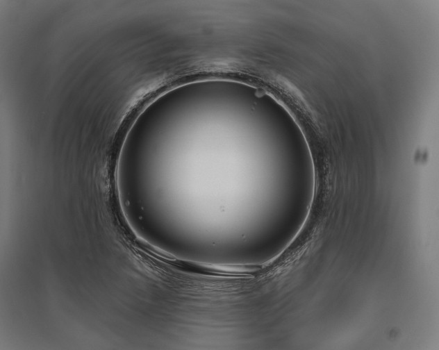X0000096151218200801181155