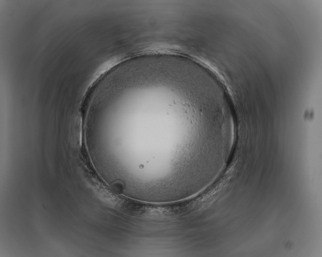X0000096151219200801181155