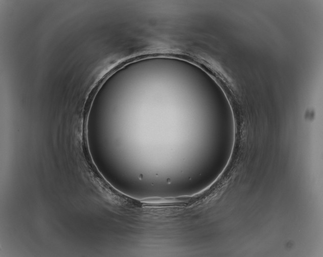 X0000096151220200801181155