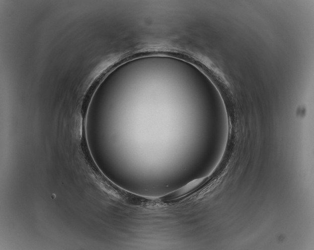 X0000096151221200801181155