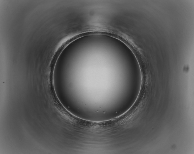 X0000096151222200801181155