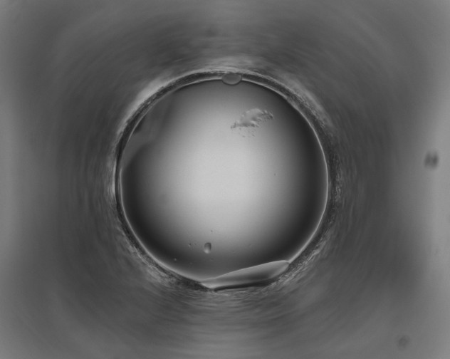 X0000096151224200801181155