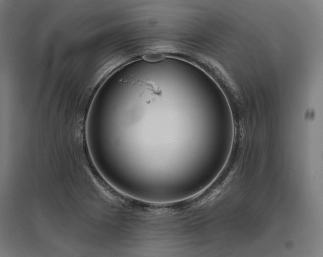 X0000096151225200801181155