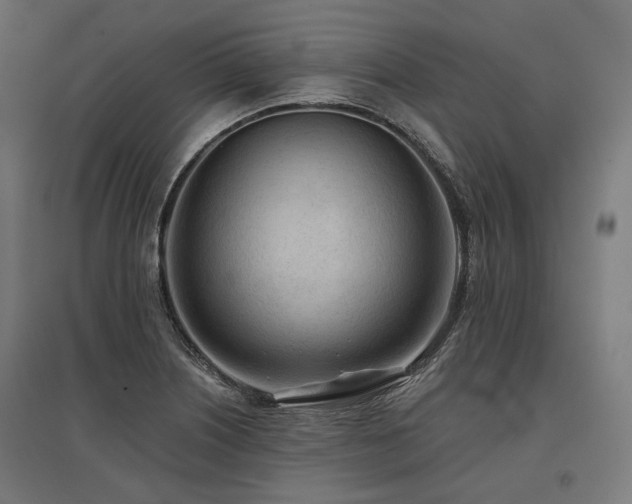 X0000096151226200801181155