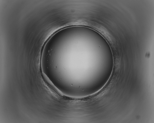 X0000096151228200801181155