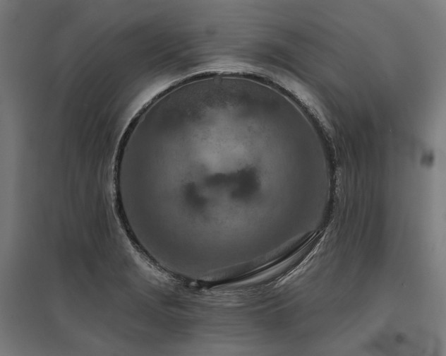 X0000096151229200801181155
