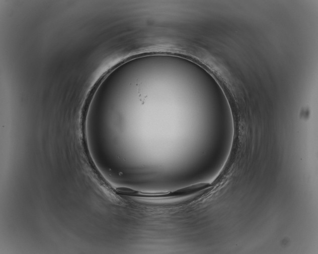 X0000096151230200801181155