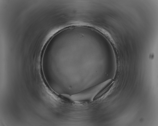 X0000096151231200801181155