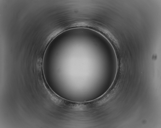 X0000096151233200801181155