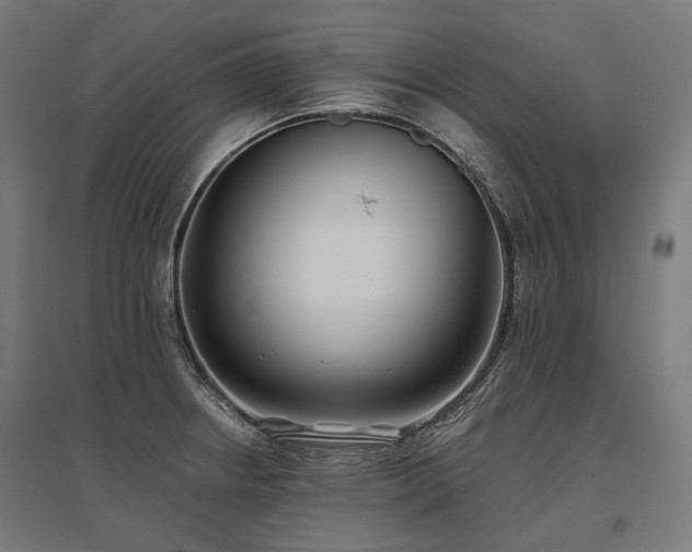 X0000096151234200801181155