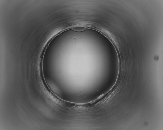 X0000096151235200801181155